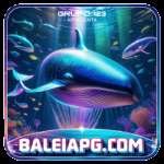 baleiapg - Slots Champion